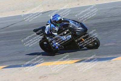 media/Feb-03-2024-SoCal Trackdays (Sat) [[767c60a41c]]/10-Turn 10 Inside (130pm)/